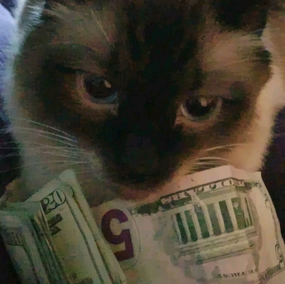 Meet your Posher, Courtney